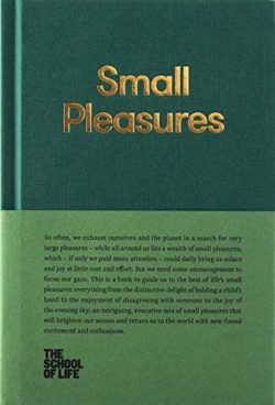 small pleasures book